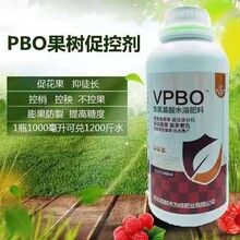 果樹PBO促控劑果樹營養膨果肥果樹控梢促進花芽分化(huà)